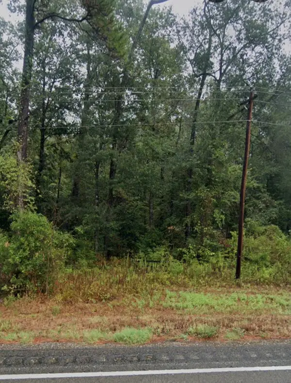 TBD Farm Market 1008, Dayton, TX 77535