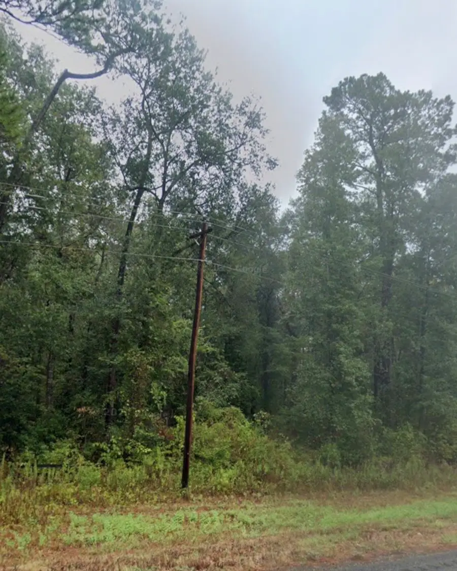 TBD Farm Market 1008, Dayton, TX 77535 - #2