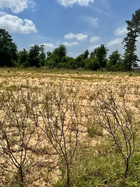 508 Road 5915 15, Cleveland, TX 77327 - Image #1