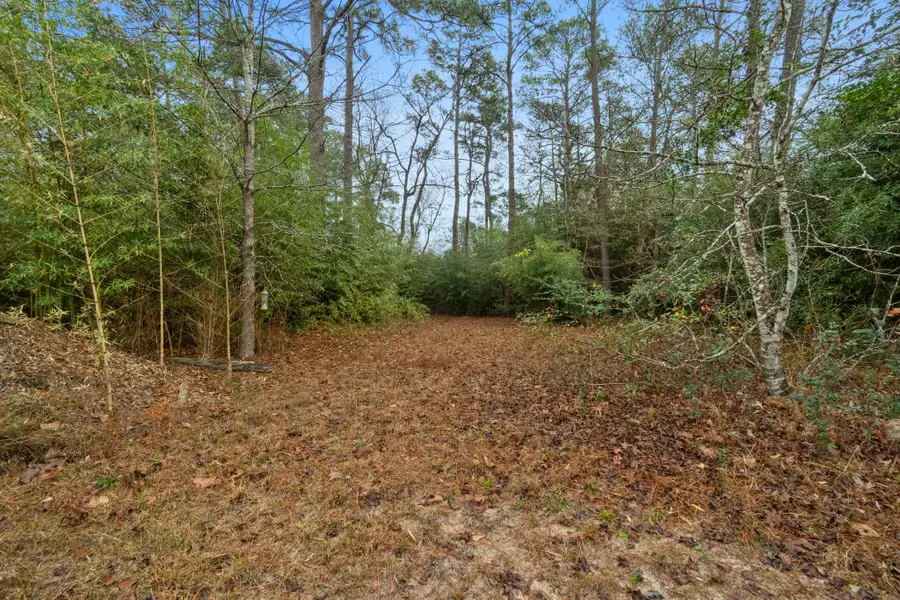 TBD Winding Hill, Magnolia, TX 77354 - #2