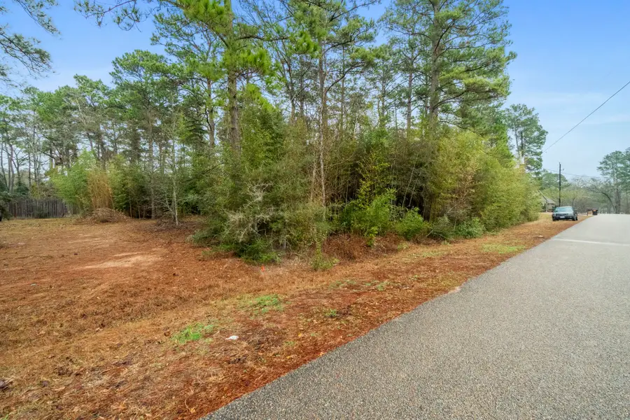 TBD Winding Hill, Magnolia, TX 77354 - #3