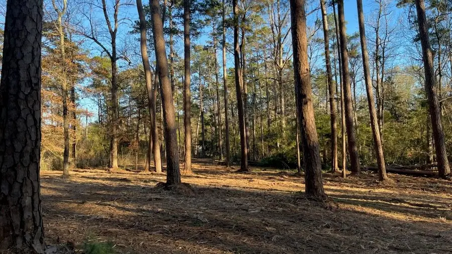 0 Monroe Drive, Livingston, TX 77351 - #2