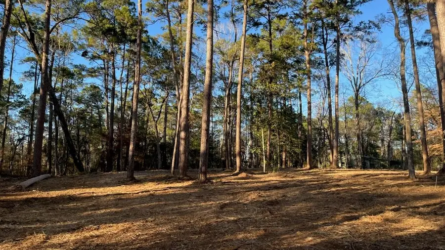 0 Monroe Drive, Livingston, TX 77351 - #3