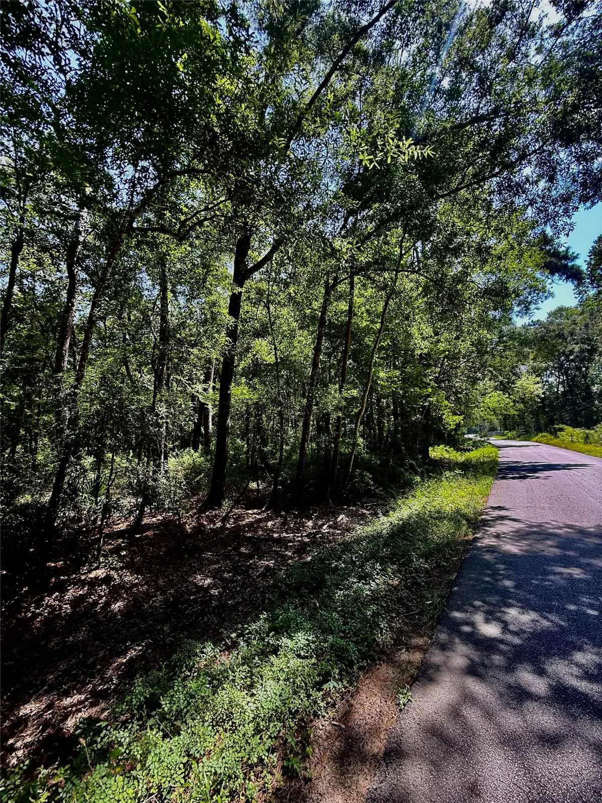 TBD Lot 4 Rolling Hills Drive, Porter, TX 77365 - #1