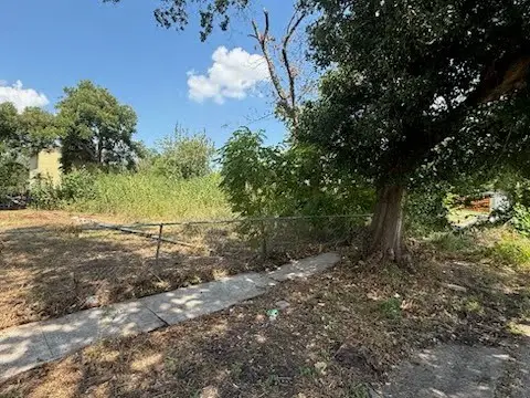 6919 Linden Street, Houston, TX 77087 - #2