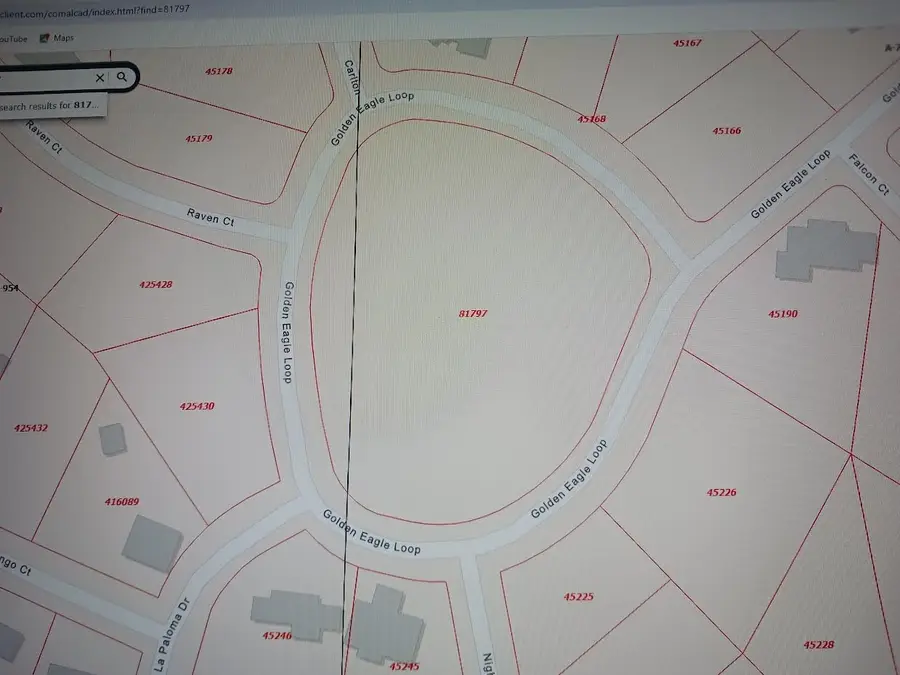 520 Golden Eagle Loop, Canyon Lake, TX 78133 - Image #3