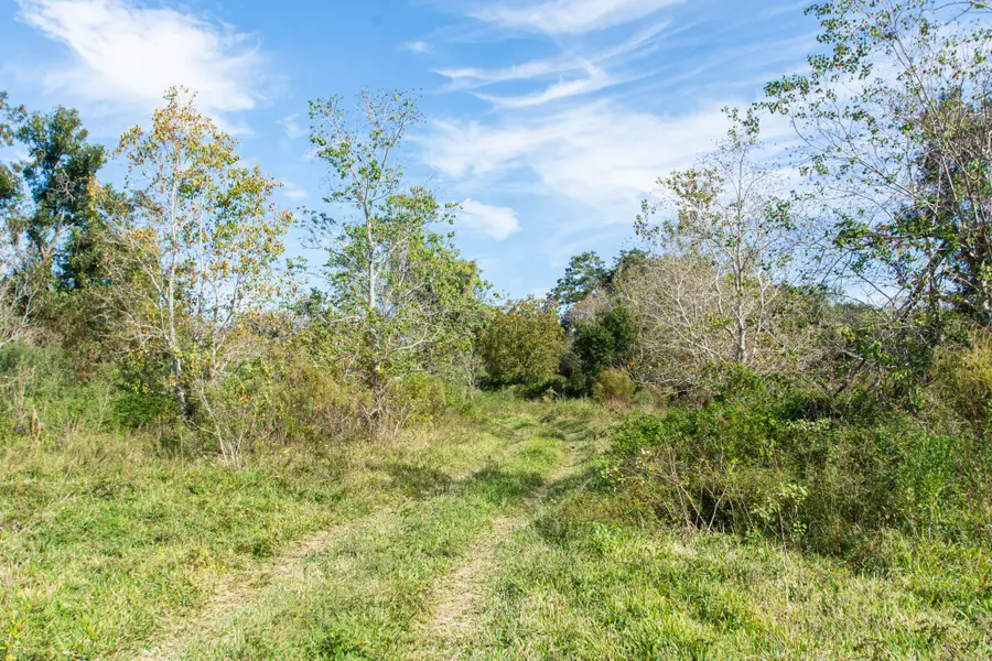 TBD Highway 36 75 Acres, Jones Creek, TX 77541 - #3