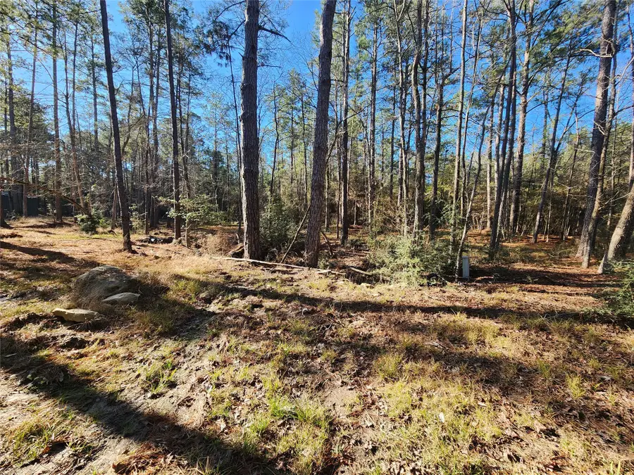 265 Sweet Gum Drive, Brookeland, TX 75931 - #3