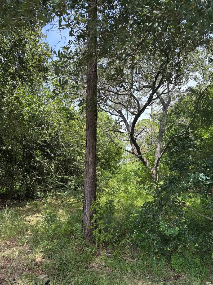 3905 Avenue G 1/2, Santa Fe, TX 77510 - Image #2