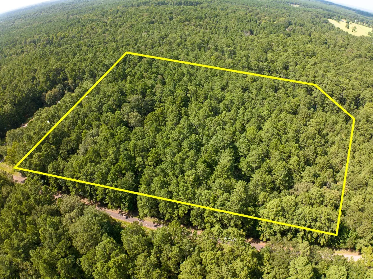 TBD Cotten Lane, Zavalla, TX 75980 - #1