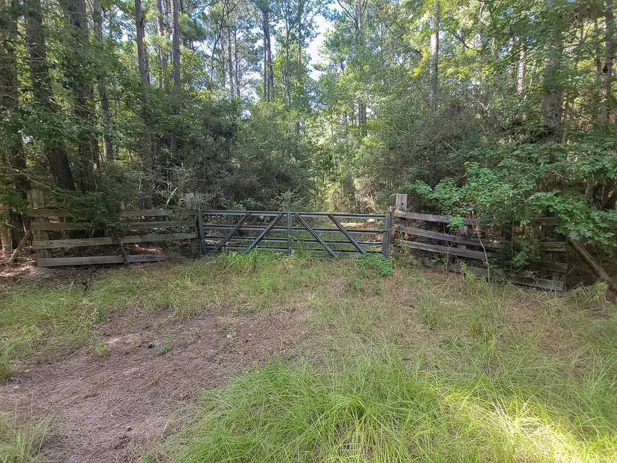 TBD Cotten Lane, Zavalla, TX 75980 - #3