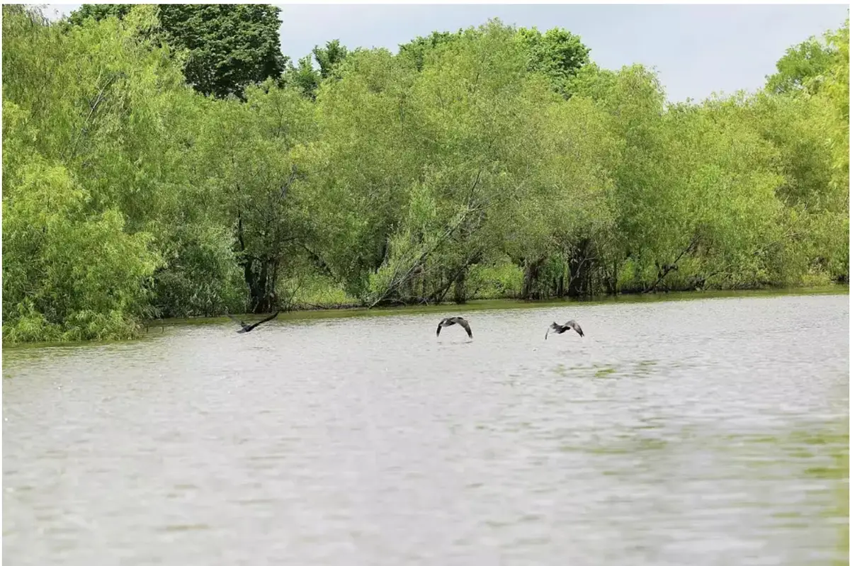 141 W Lakeside Drive, Huntsville, TX 77320 - Image #1