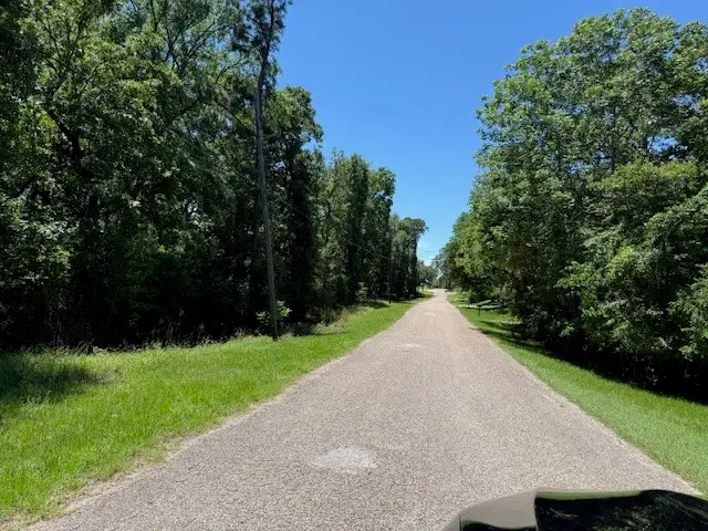 141 W Lakeside Drive, Huntsville, TX 77320 - Image #3