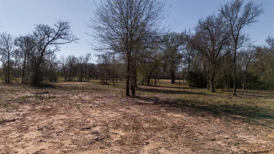 Tbd Tract 2 Wallace Rd, Madisonville, TX 77864 - Image #2