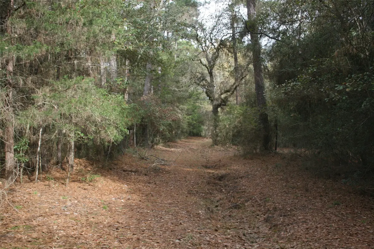 9000 N County Road 355, Plantersville, TX 77363 - Image #1