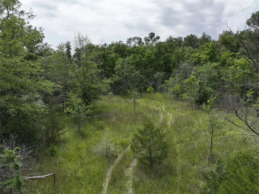 T1 Round Prairie Road, Huntsville, TX 77320 - Image #3