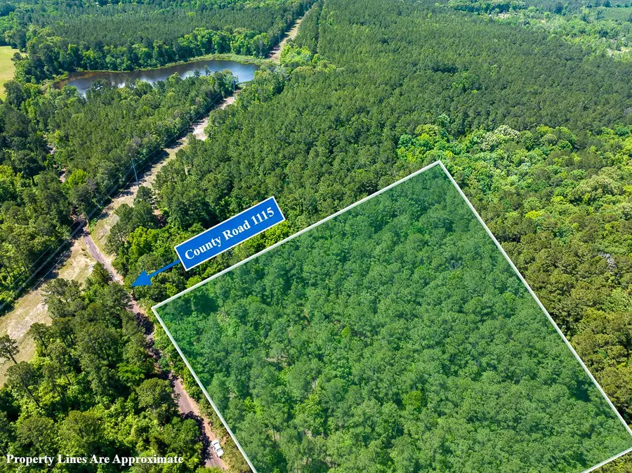 1 County Road 1115, Atlanta, TX 75551 - #2