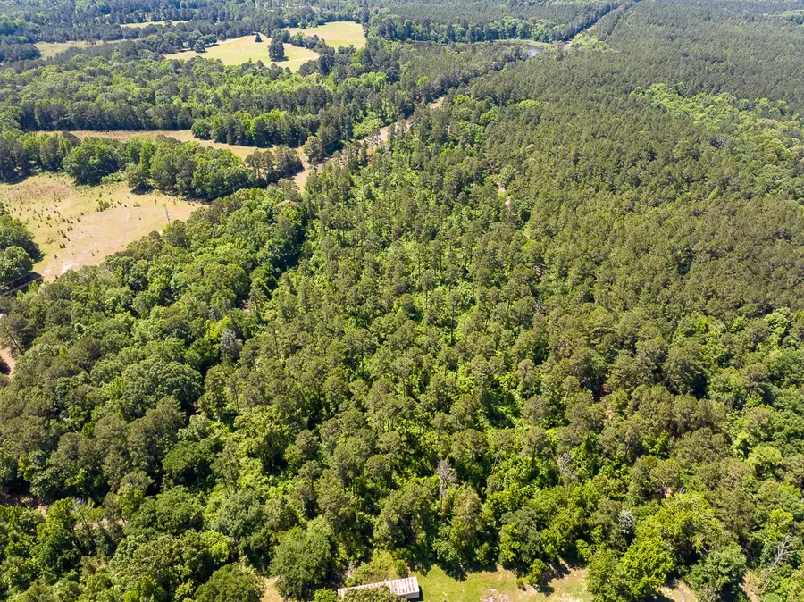 1 County Road 1115, Atlanta, TX 75551 - #3