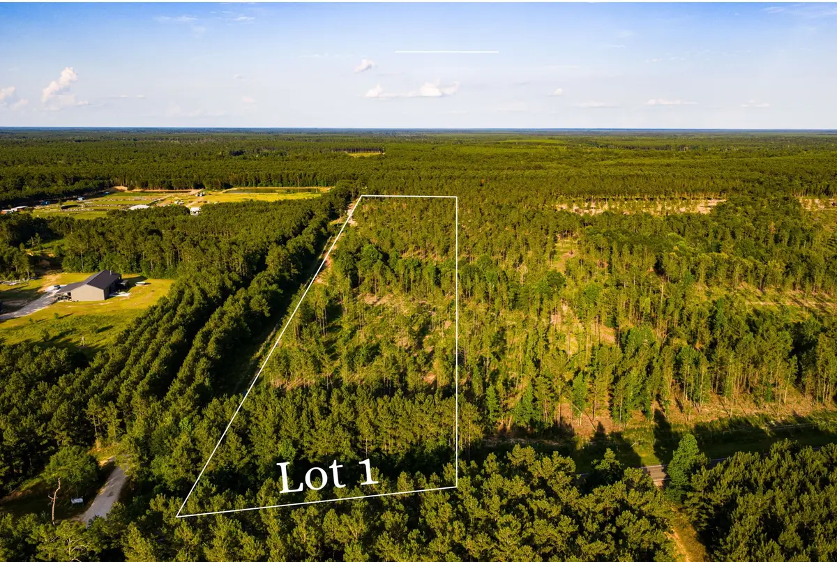 TBD lot 1 Fm 1276, Livingston, TX 77351 - #1