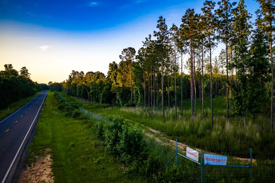TBD lot 1 Fm 1276, Livingston, TX 77351 - #3