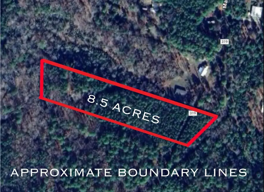 8.5 AC +/- Tbd Cr 319, Broaddus, TX 75929 - Image #2