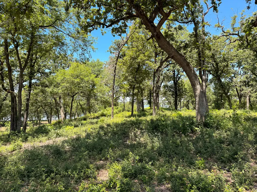 NA Lcr 882, Jewett, TX 75846 - #2