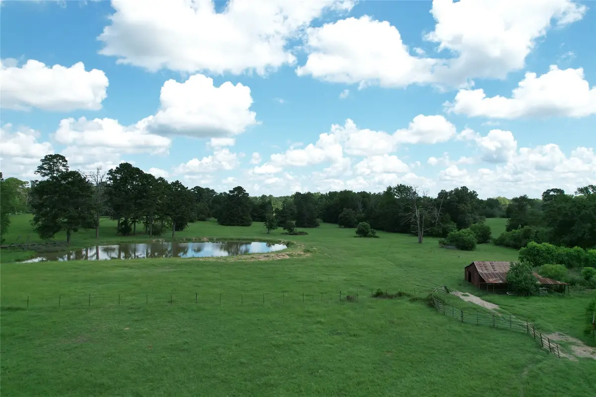 219 Acr 185, Elkhart, TX 75839 - #1