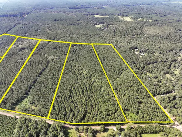 2 County Road 1325, Warren, TX 77664