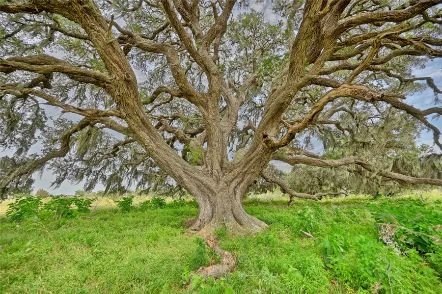 000 0 Kramr Rd Road, Fayetteville, TX 78940 - Image #3