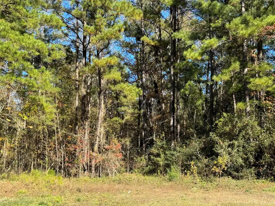 4b-6-222 Red Hawk Road, Huntsville, TX 77340 - #2