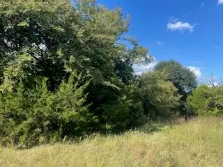 TBD Lcr 898, Jewett, TX 75846 - #2