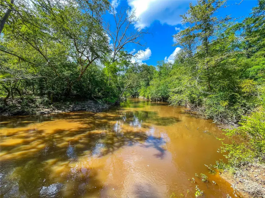 TBD Private Road 8170, Bon Wier, TX 75933 - #2