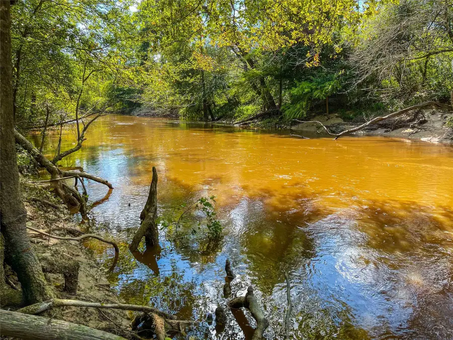 TBD Private Road 8170, Bon Wier, TX 75933 - #3