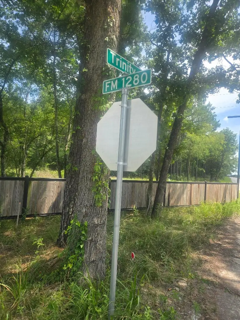 PHASE 2 Calhoun Court, Lovelady, TX 75851 - #2