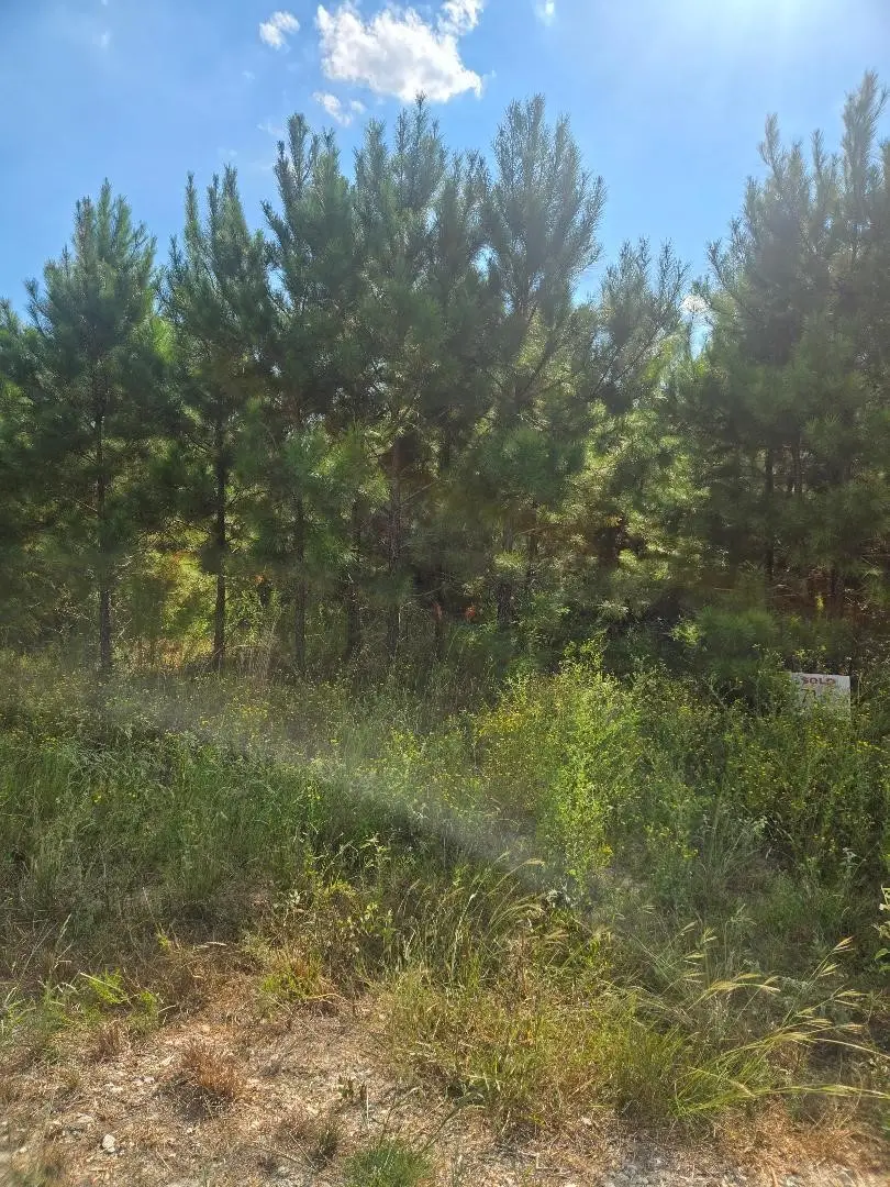PHASE 2 Calhoun Court, Lovelady, TX 75851 - #3