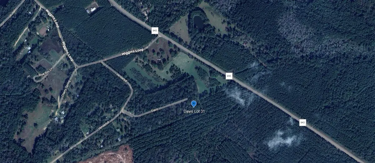 TBD Davis Lot 31, Livingston, TX 77351 - #1