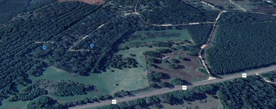 TBD Davis Lot 31, Livingston, TX 77351 - #3