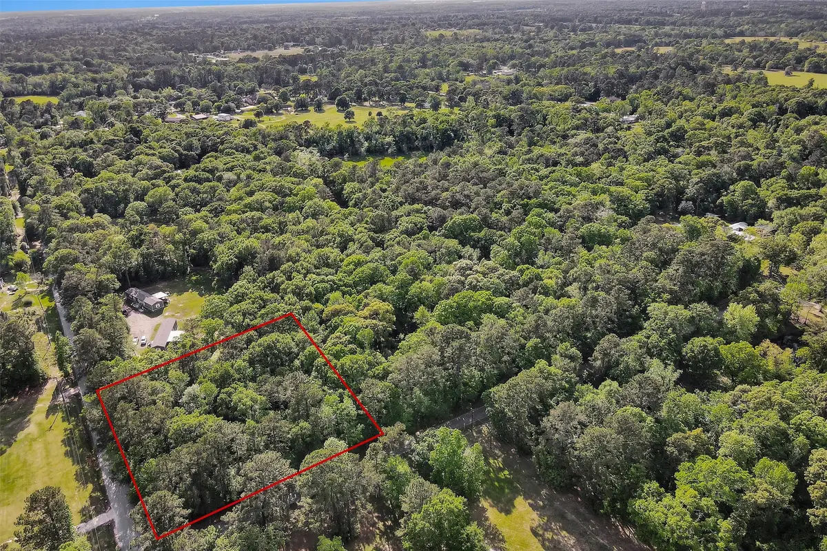 15711 Tree Monkey Rd, Conroe, TX 77303 - #1