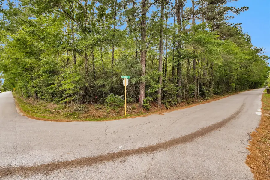 15711 Tree Monkey Rd, Conroe, TX 77303 - #3