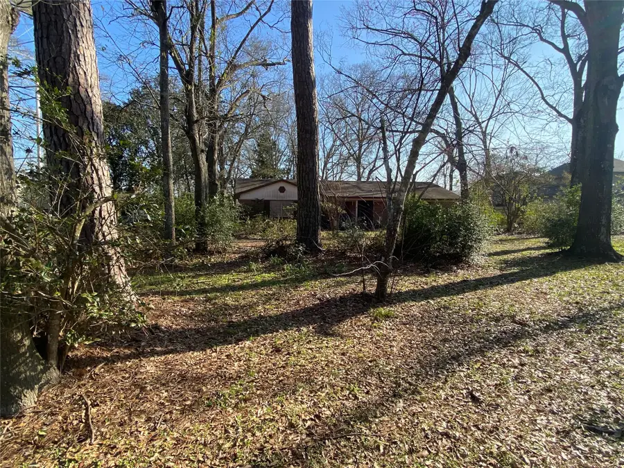 23112 E Wildwood Road, Porter, TX 77365 - Image #2