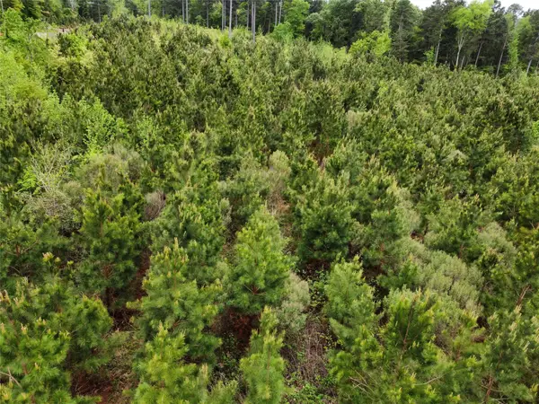 TBD Joy Wright Mount Rd, Kilgore, TX 75662