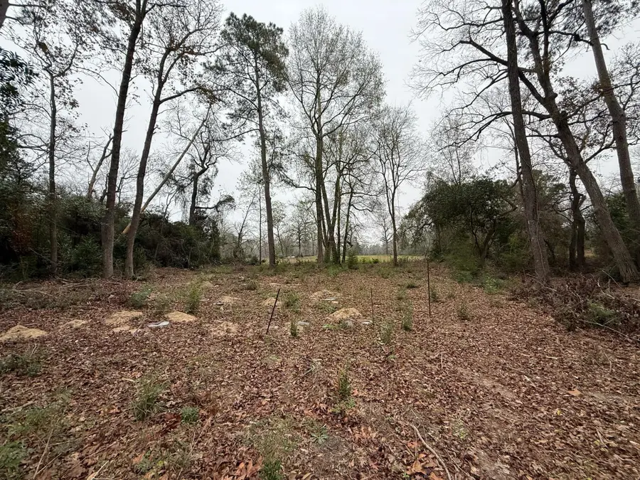 TBD Skylane Dr, Montgomery, TX 77356 - Image #2