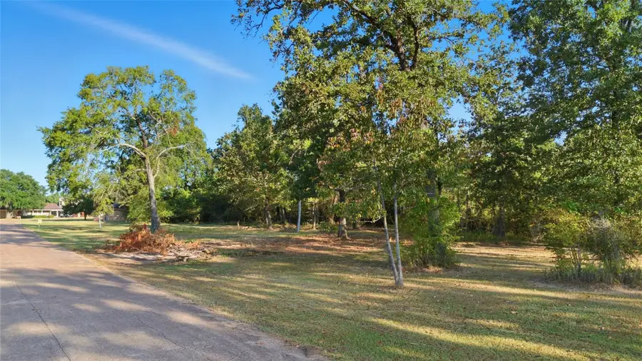 TBD (Lot 23) Deep Woods Lane, Livingston, TX 77351 - #3