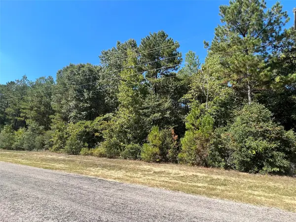 0 Grand View, Huntsville, TX 77340