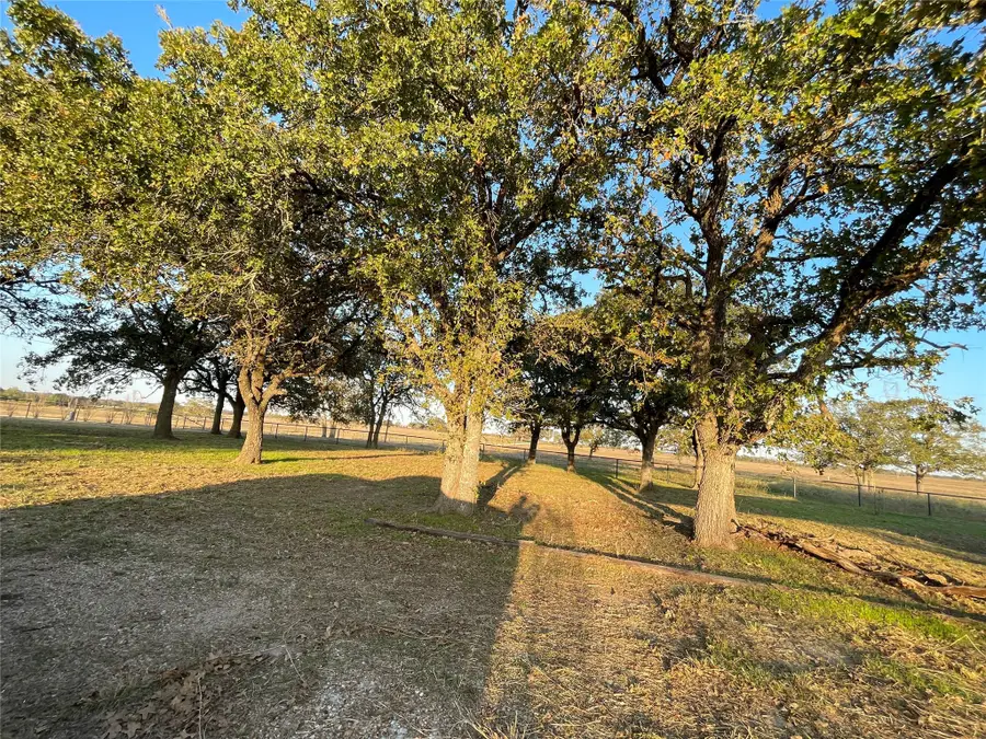 TBD County Road 228 Tract 1, Bedias, TX 77831 - Image #2