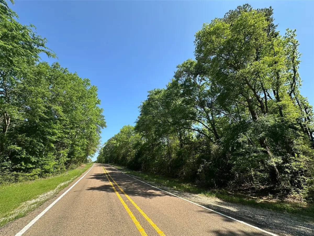 TBD Fm 1511, Buffalo, TX 75831 - #1