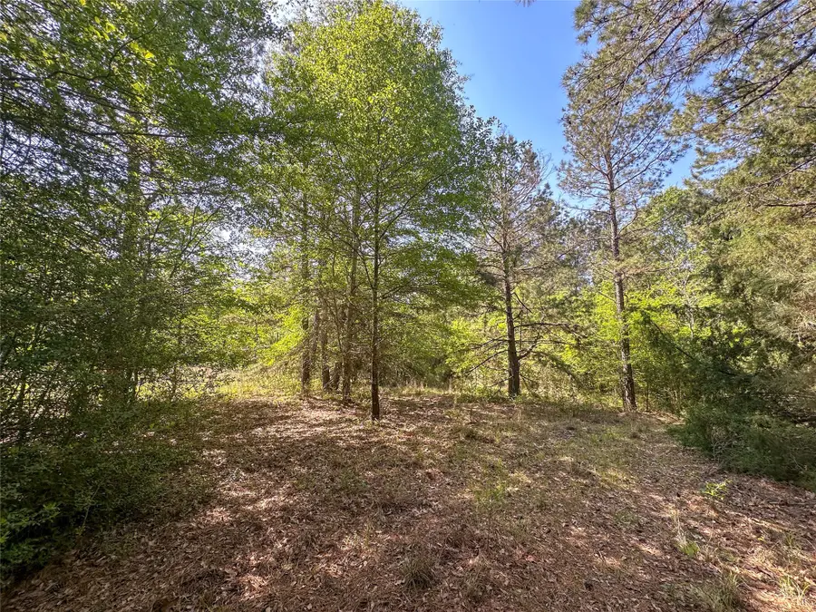 TBD Fm 1511, Buffalo, TX 75831 - #3