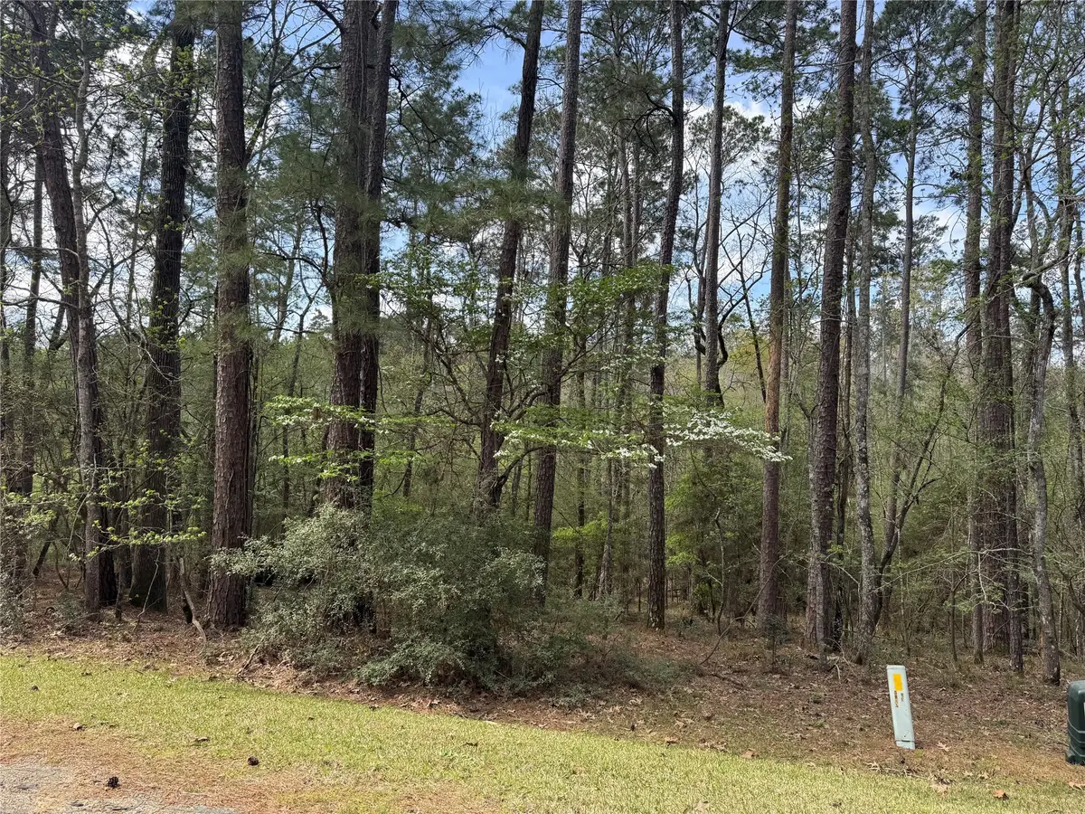 94 Green Tree Drive, Coldspring, TX 77331 - #1