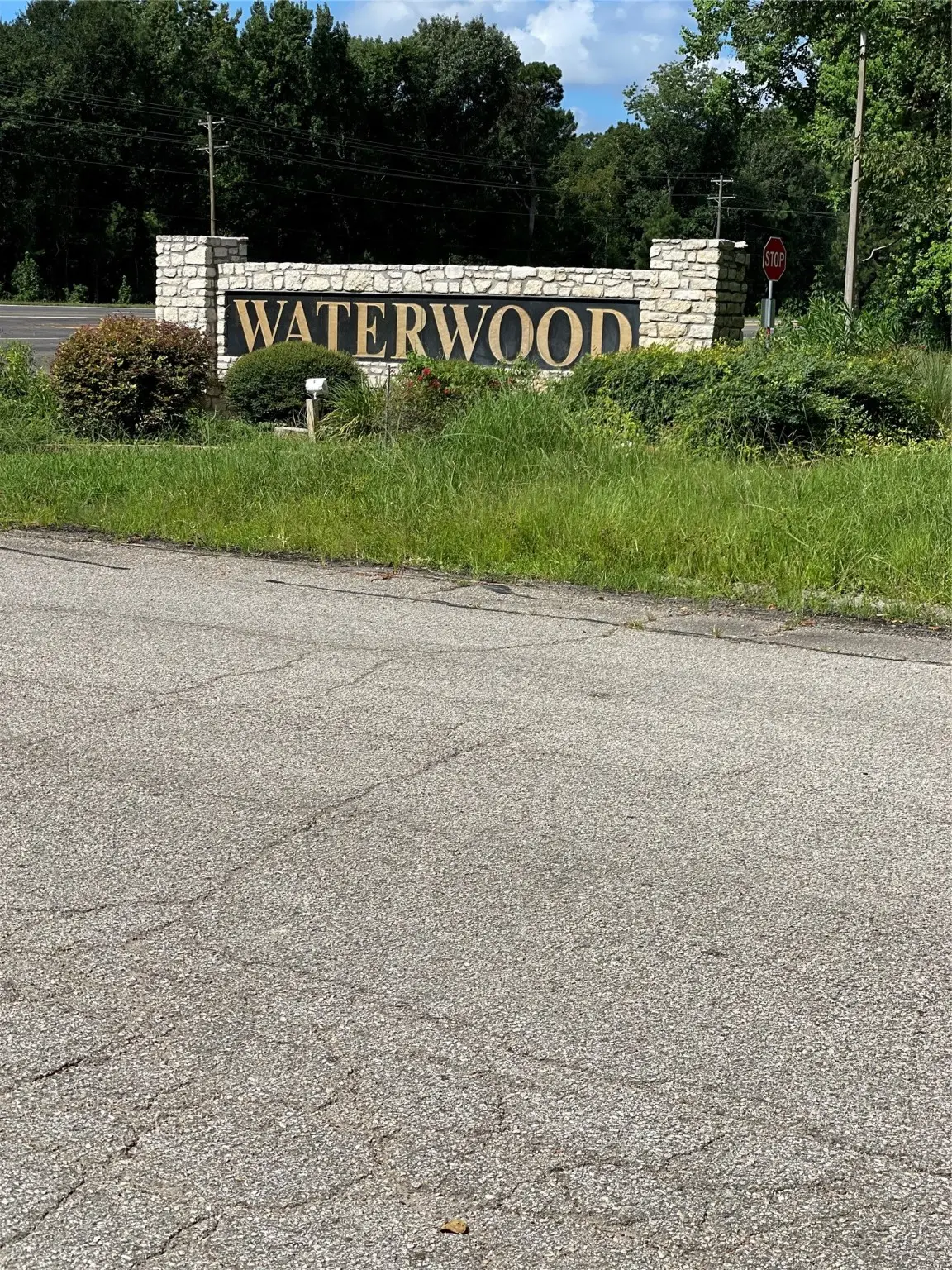 26725 Knottywood Court, Huntsville, TX 77320 - Image #1