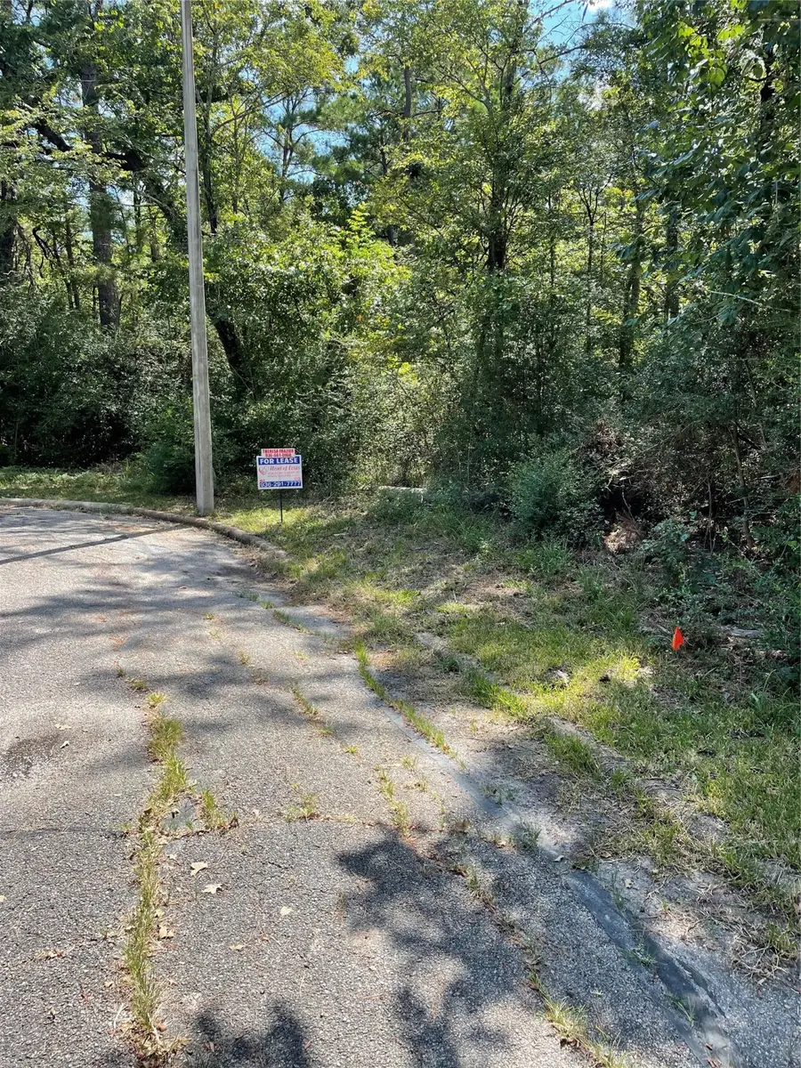 26725 Knottywood Court, Huntsville, TX 77320 - Image #2